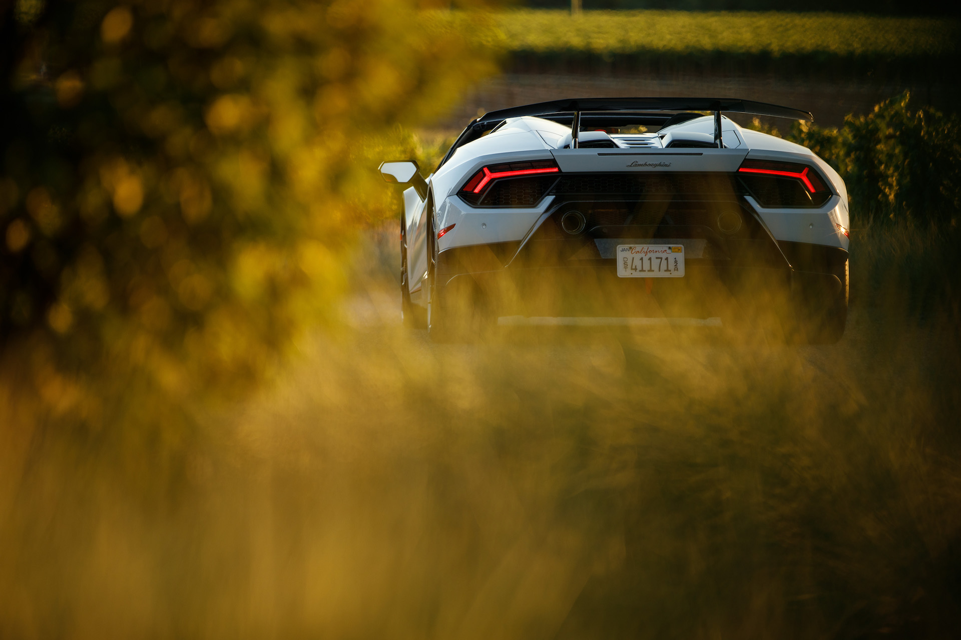 Download 2019 Lamborghini Huracán Performante Spyder - Rear HD Wallpaper 1920x1280 #38