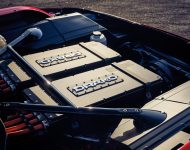 2020 Drako GTE - Engine Wallpaper 190x150