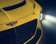 2021 Bentley Mulliner Bacalar - Grill Wallpaper 190x150