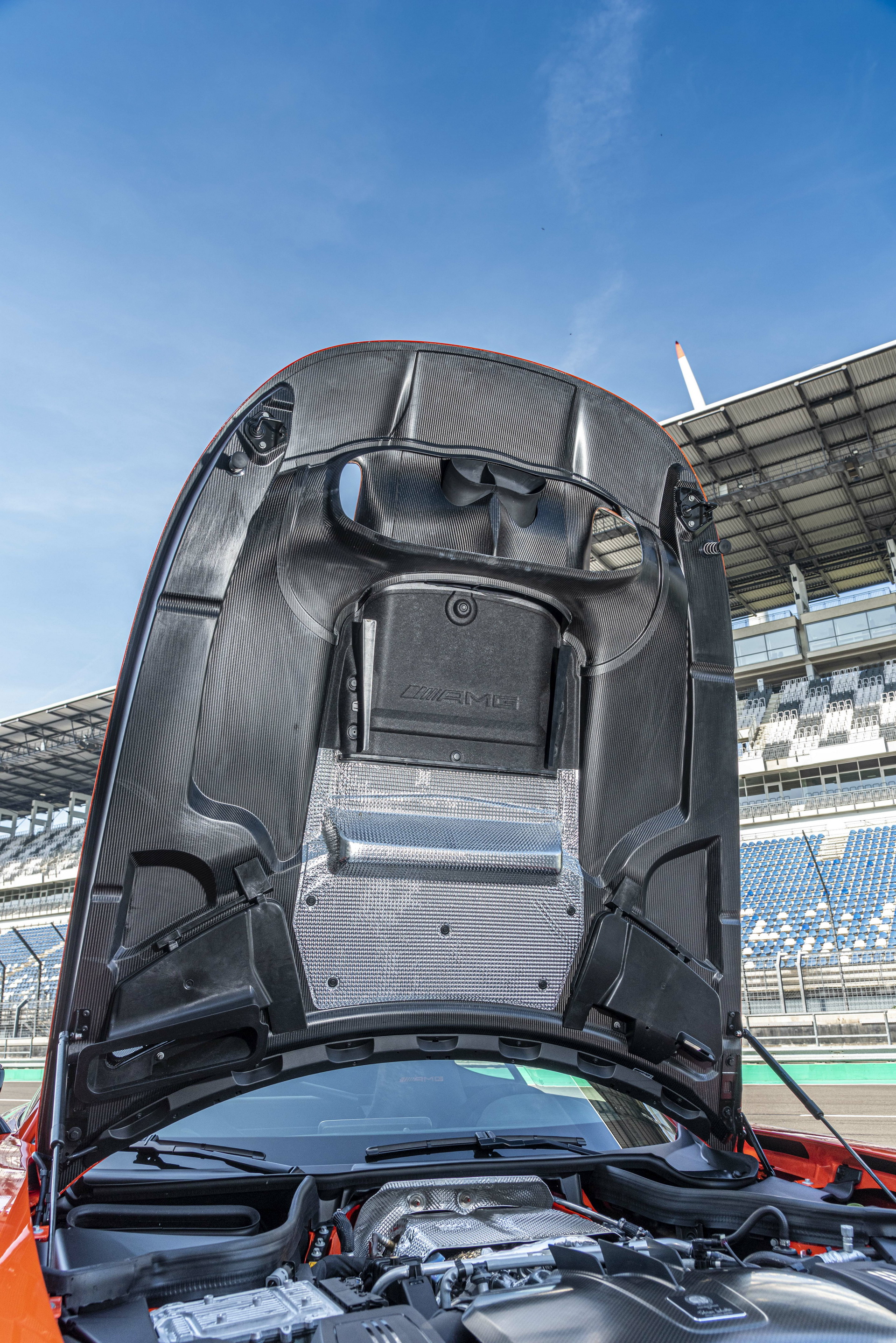 Download 2021 Mercedes-AMG GT Black Series - Engine HD Phone Wallpaper 1920x2877 #77