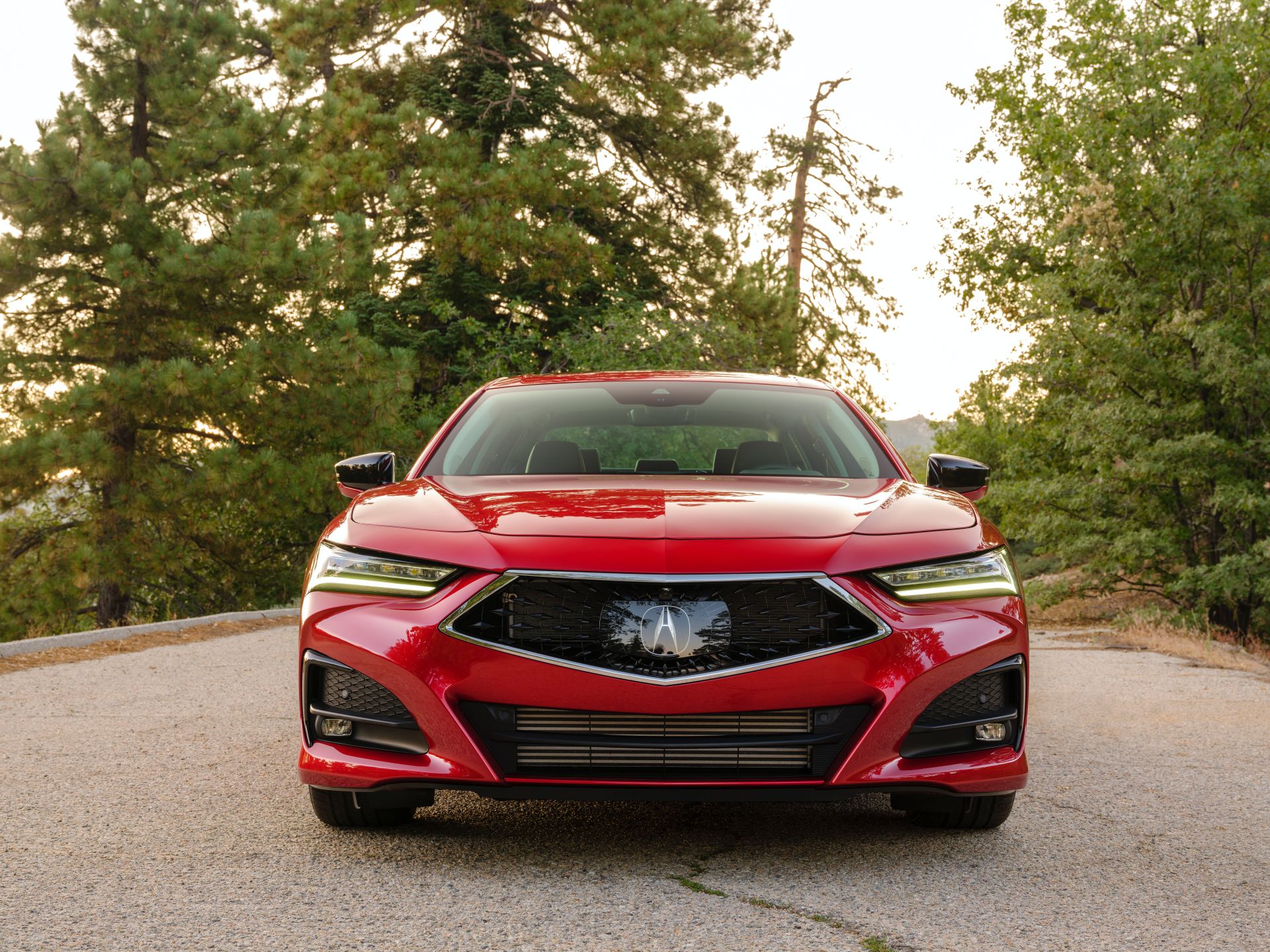 Download 2021 Acura TLX Advance - Front HD Wallpaper 1920x1440 #9