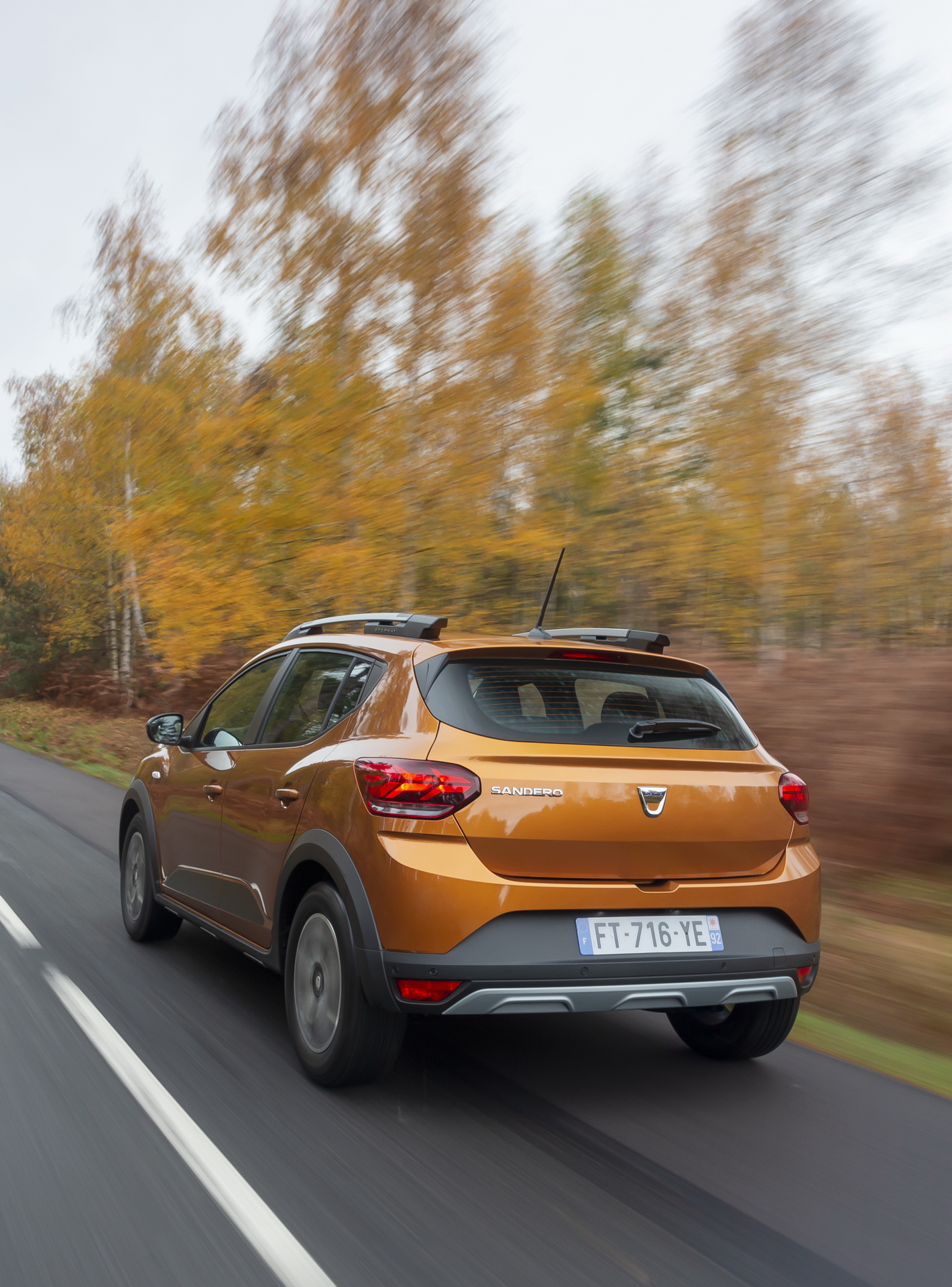 Download 2021 Dacia Sandero Stepway - Rear HD Phone Wallpaper 1420x1920 #11