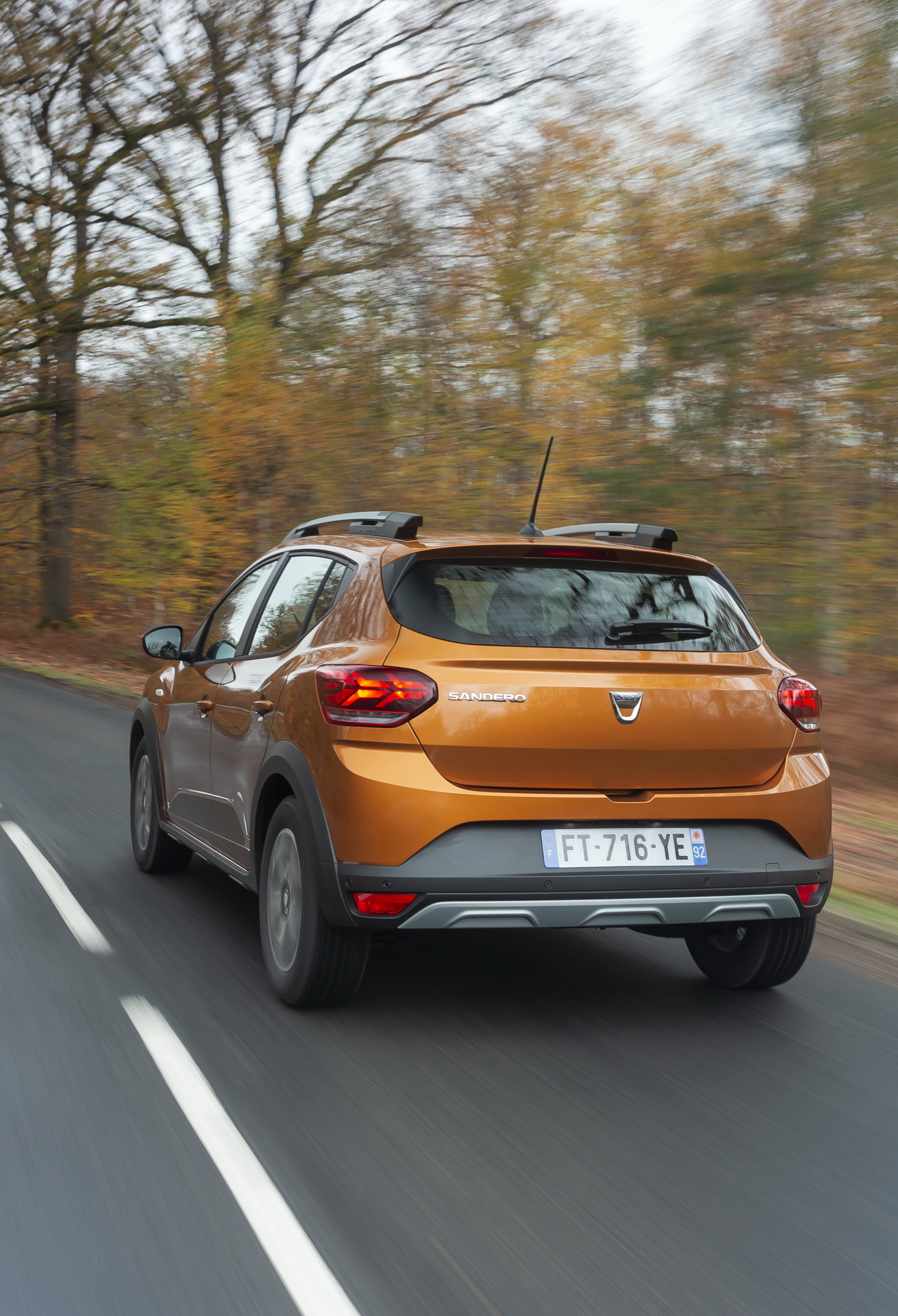 Download 2021 Dacia Sandero Stepway - Rear HD Phone Wallpaper 1311x1920 #10