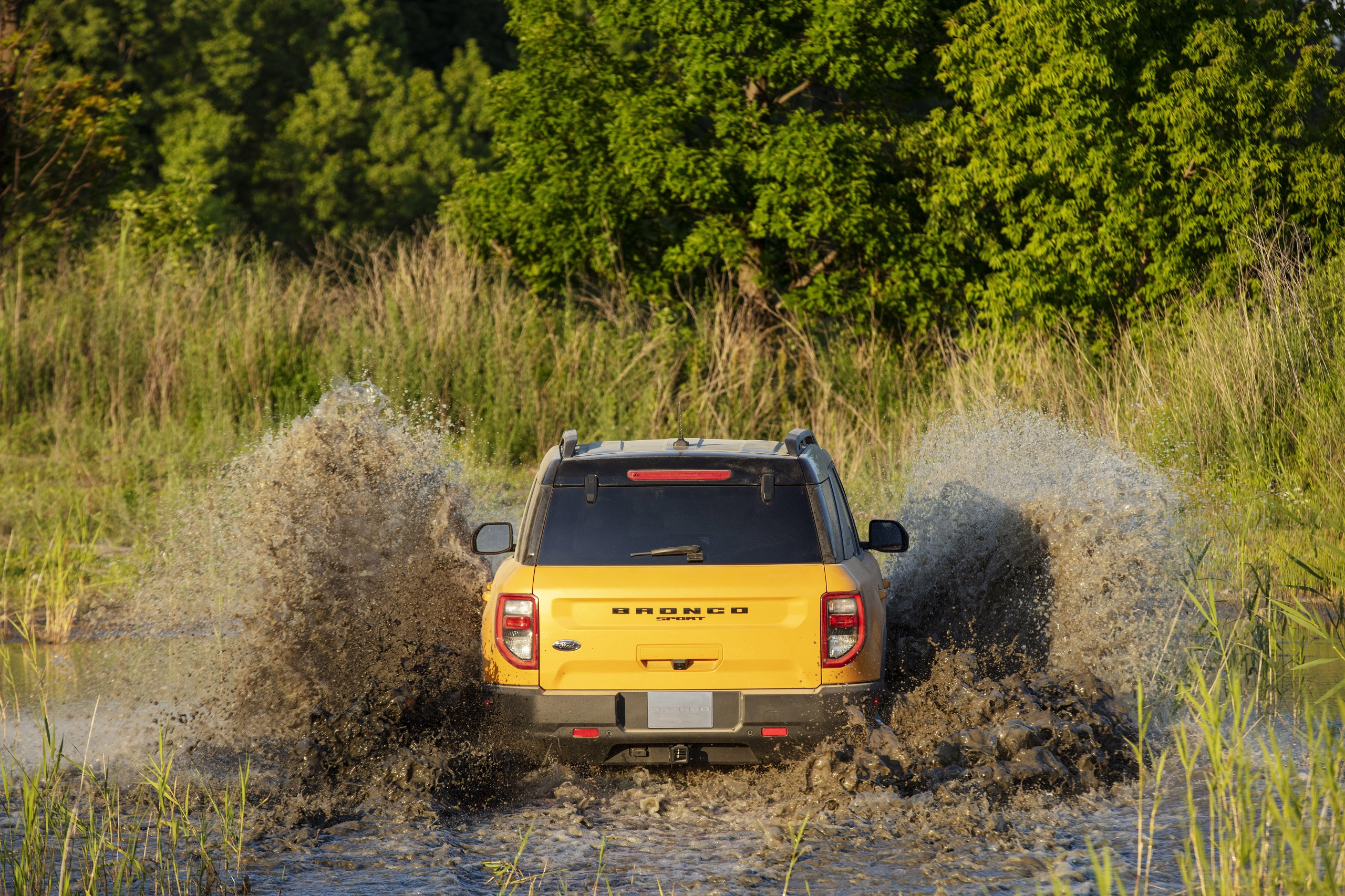 Download 2020 Ford Bronco Sport First Edition Preproduction - Off-Road HD Wallpaper 2560x1706 #3