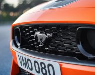 2021 Ford Mustang Mach 1 - Grill Wallpaper 190x150
