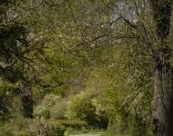 2021 Aston Martin Vantage F1 Edition - Front Wallpaper 190x150