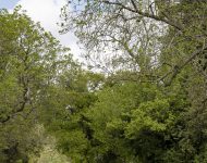 2021 Aston Martin Vantage F1 Edition - Front Wallpaper 190x150