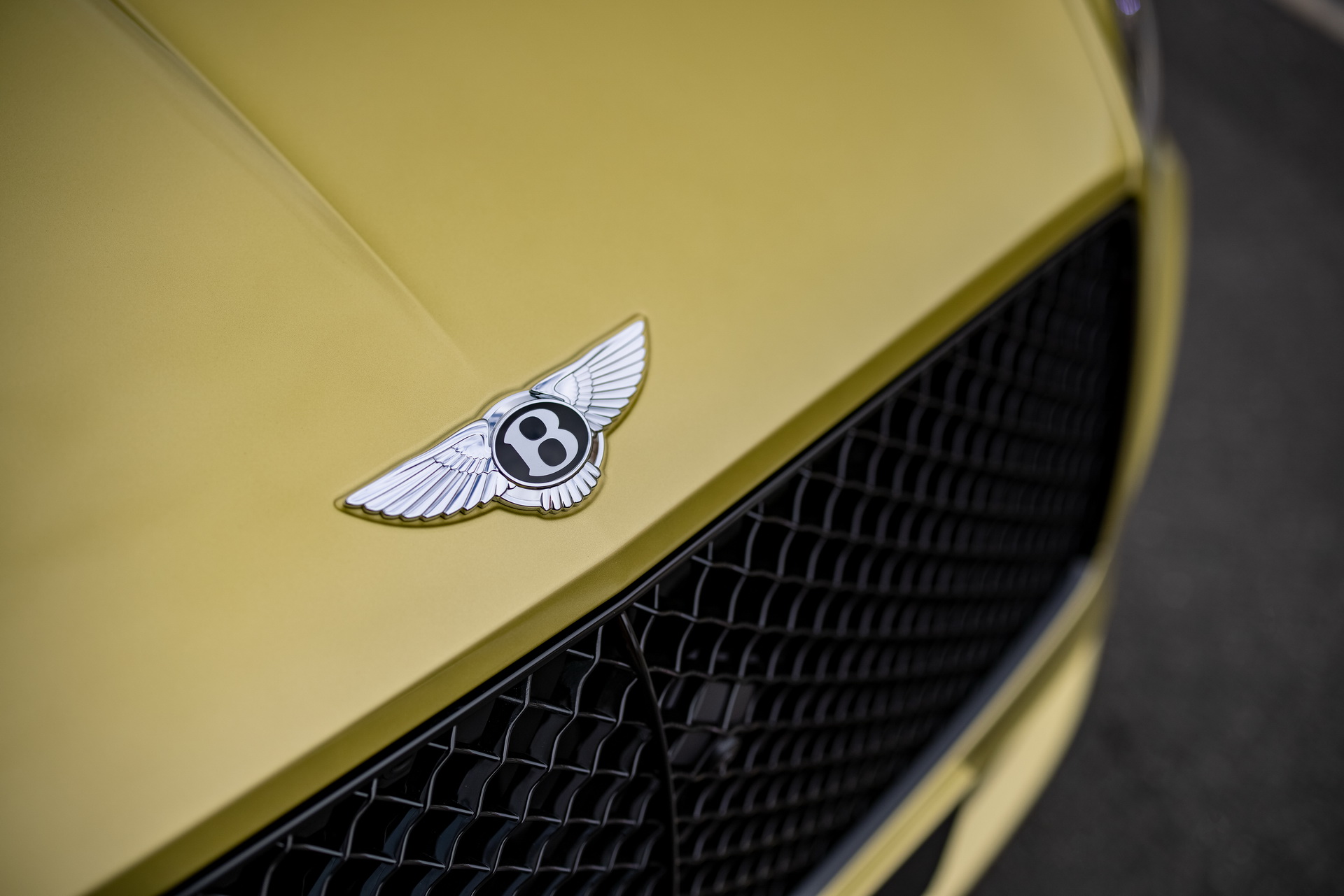Download 2022 Bentley Continental GT Speed - Grill HD Wallpaper 1920x1281 #50
