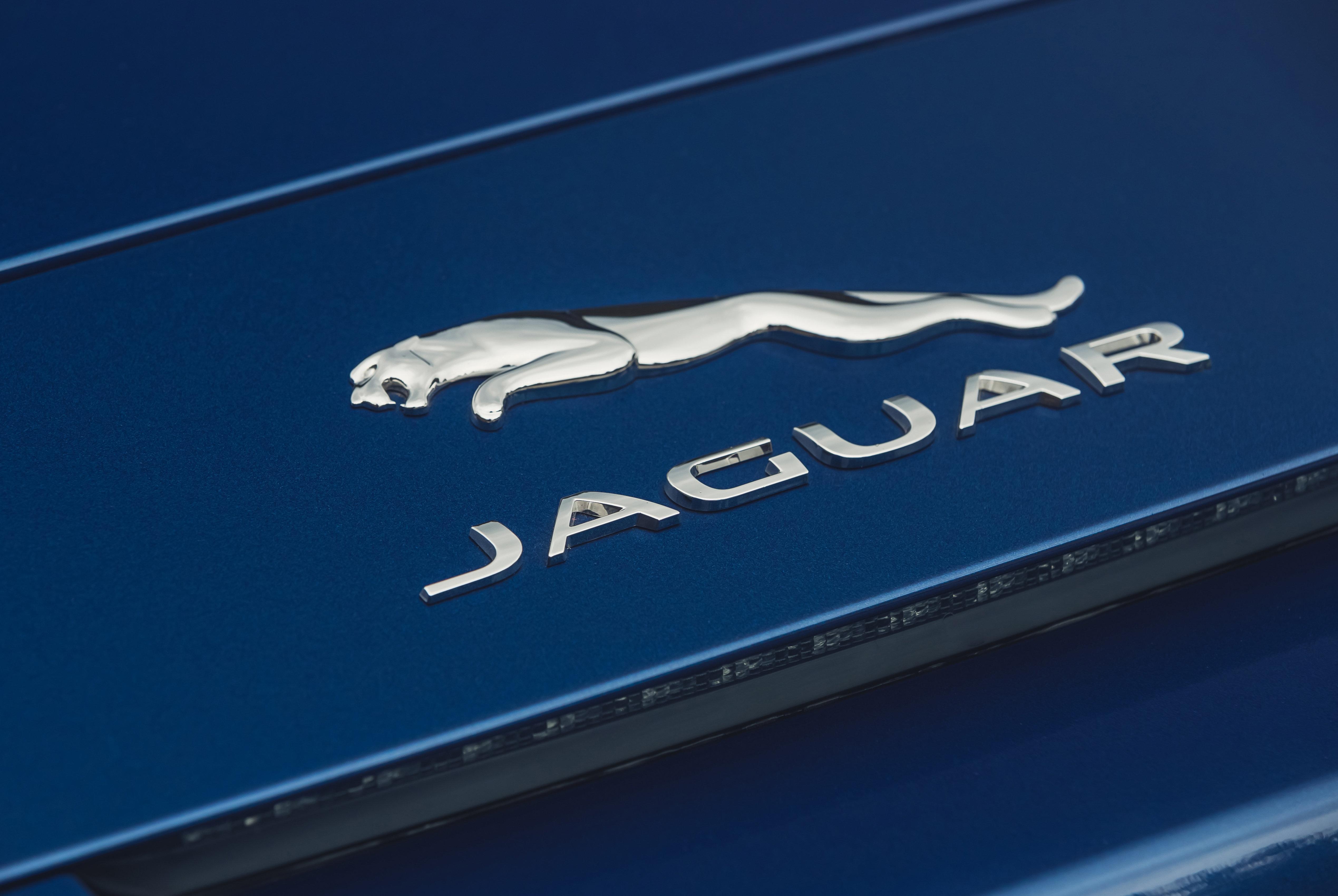 Download 2021 Jaguar F-Type P300 Convertible - Badge HD Wallpaper 5077x3401 #20