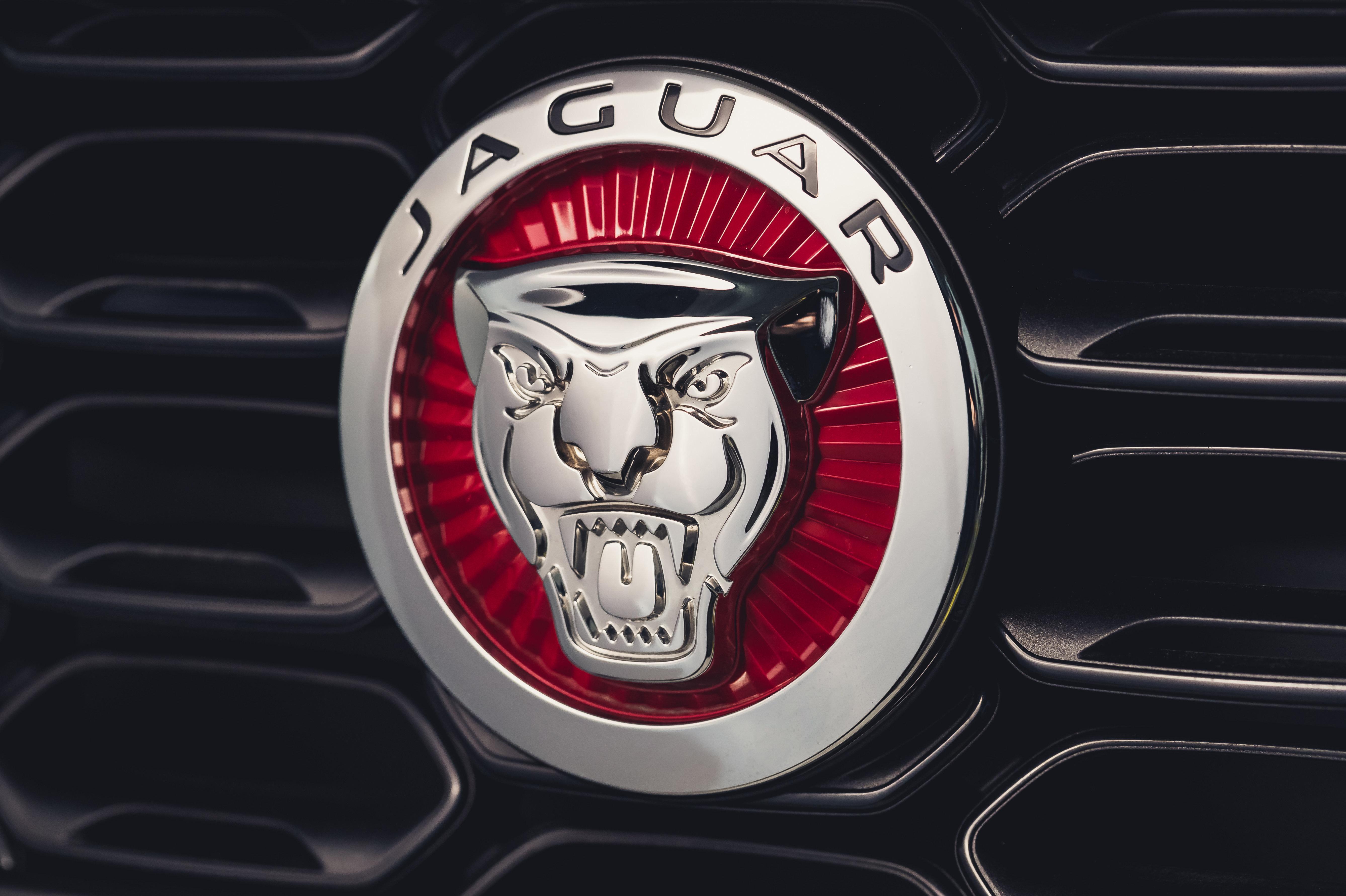 Download 2021 Jaguar F-Type P300 Convertible - Badge HD Wallpaper 5352x3564 #19