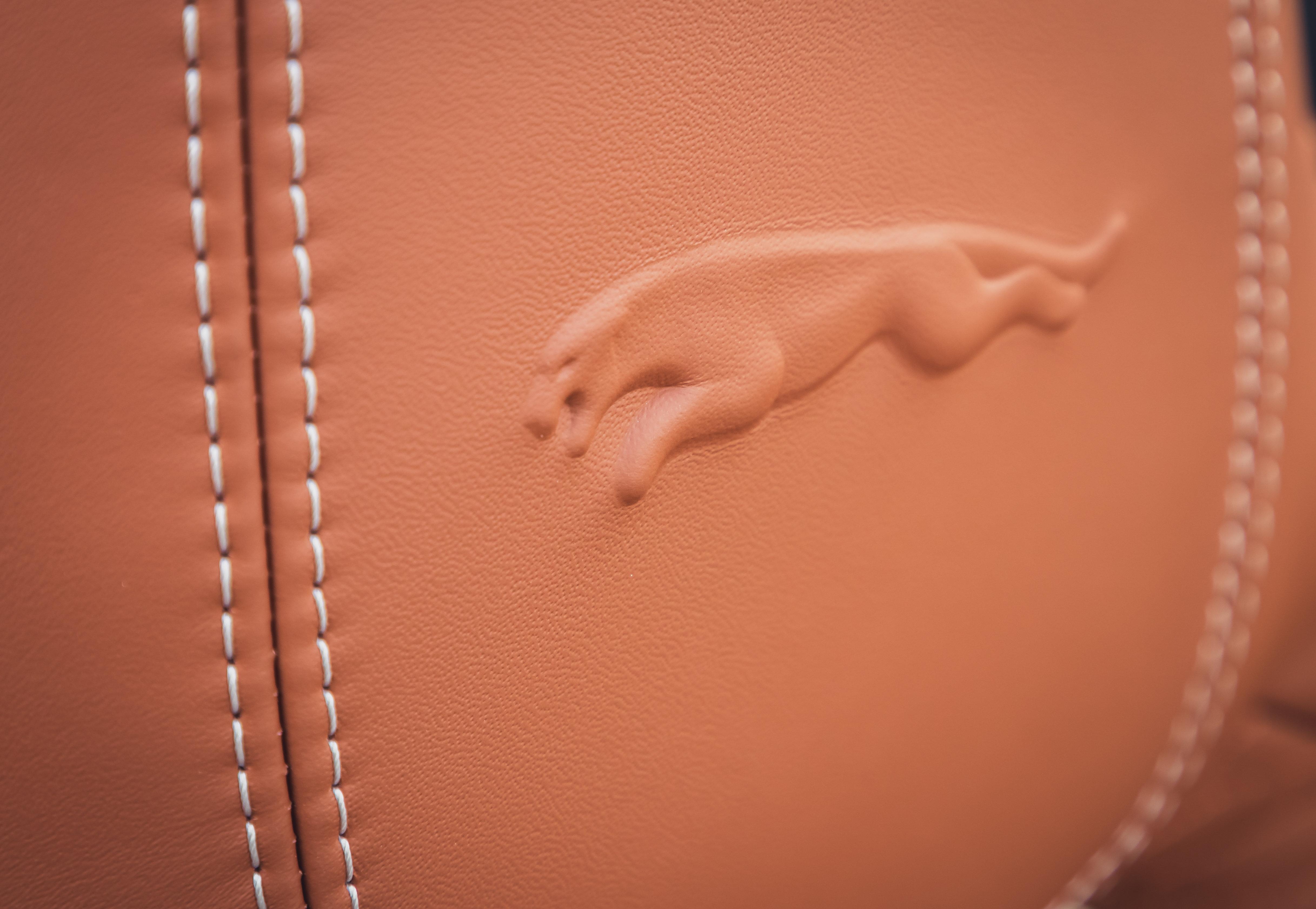 Download 2021 Jaguar F-Type P450 R-Dynamic Convertible - Interior, Seats HD Wallpaper 4868x3361 #28