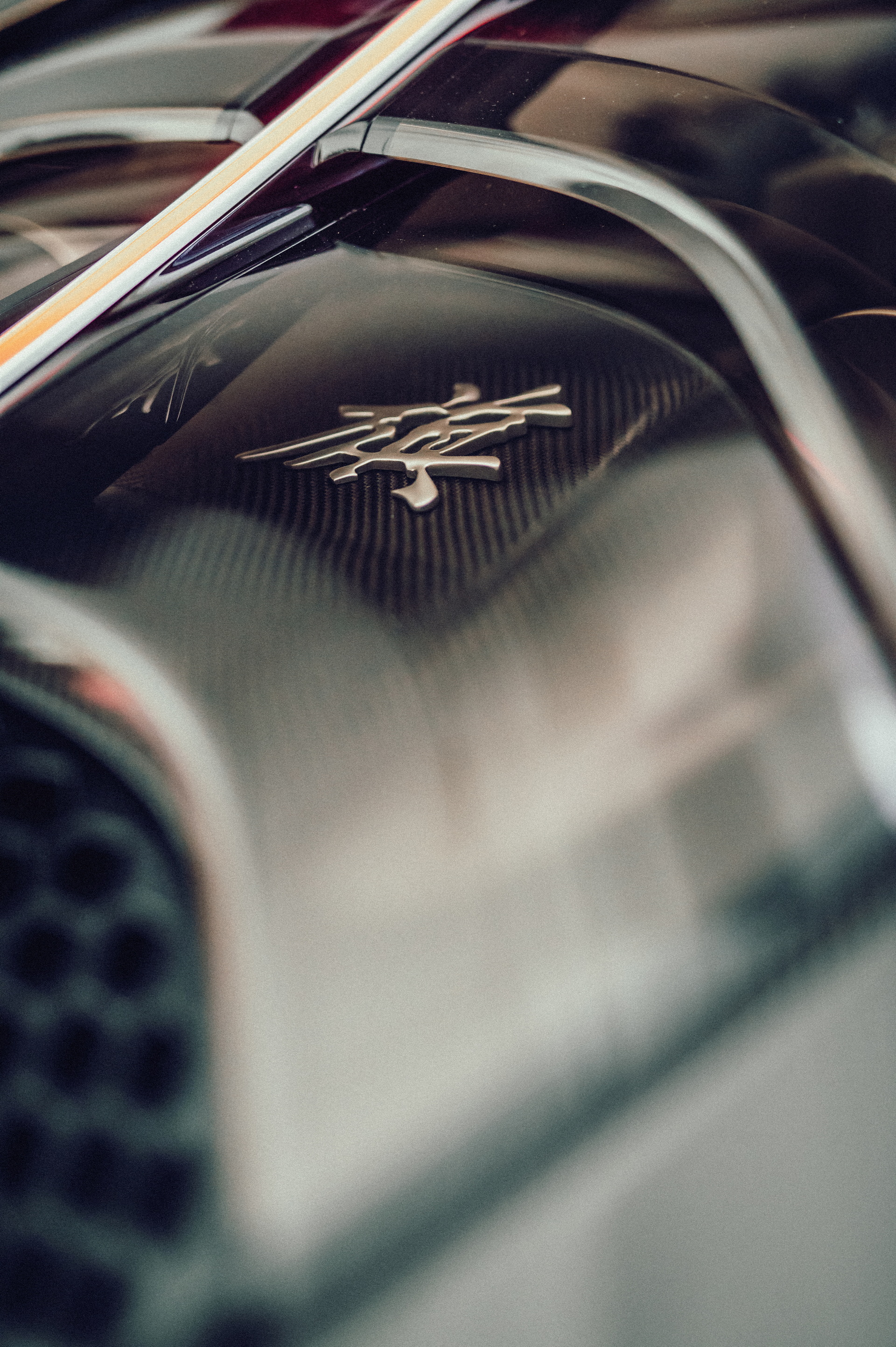 Download 2022 Hongqi S9 - Badge HD Phone Wallpaper 1920x2886 #24