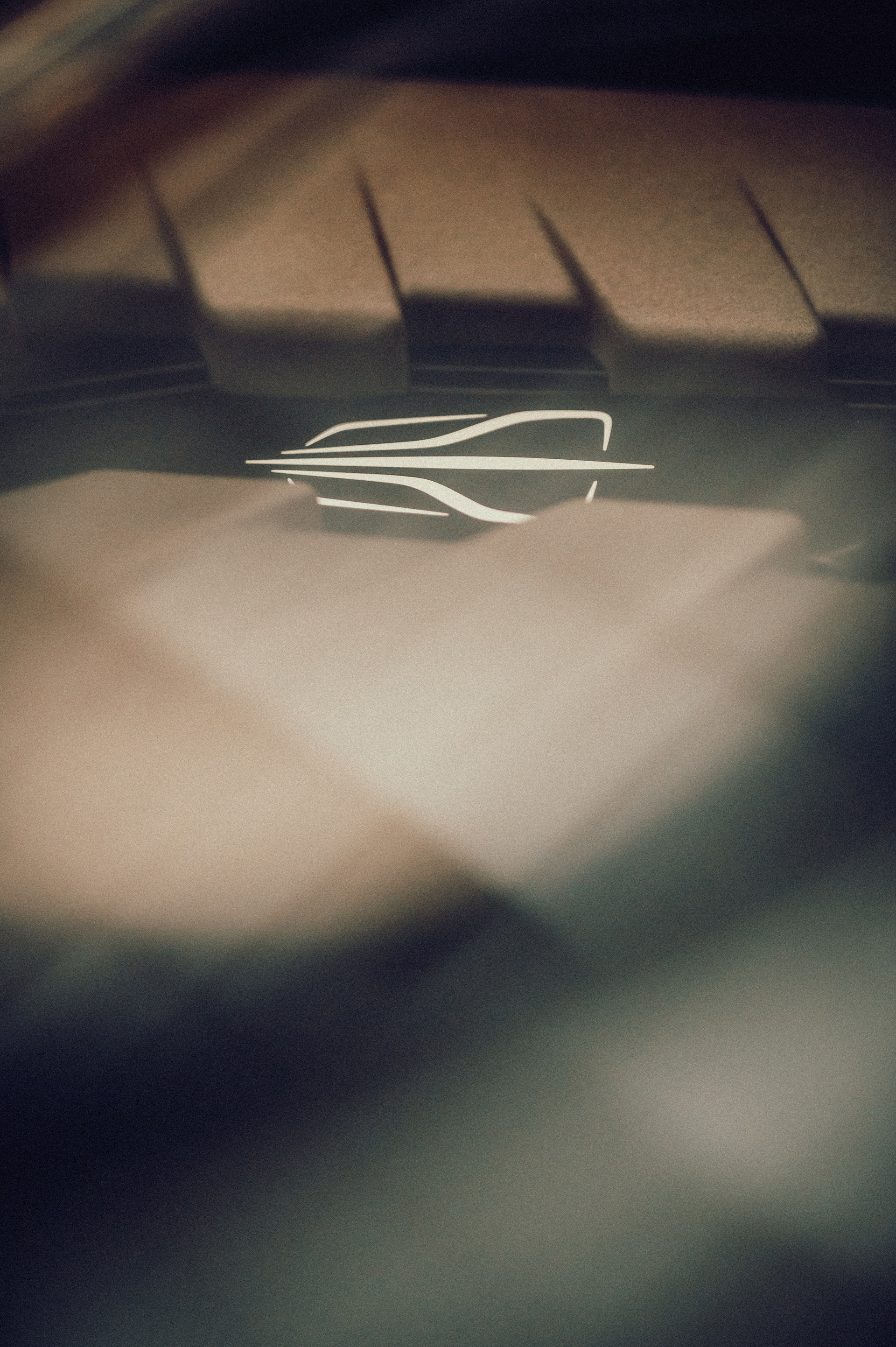 Download 2022 Hongqi S9 - Badge HD Phone Wallpaper 1920x2886 #25