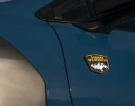 2022 Subaru Outback Wilderness - Badge Wallpaper 190x150