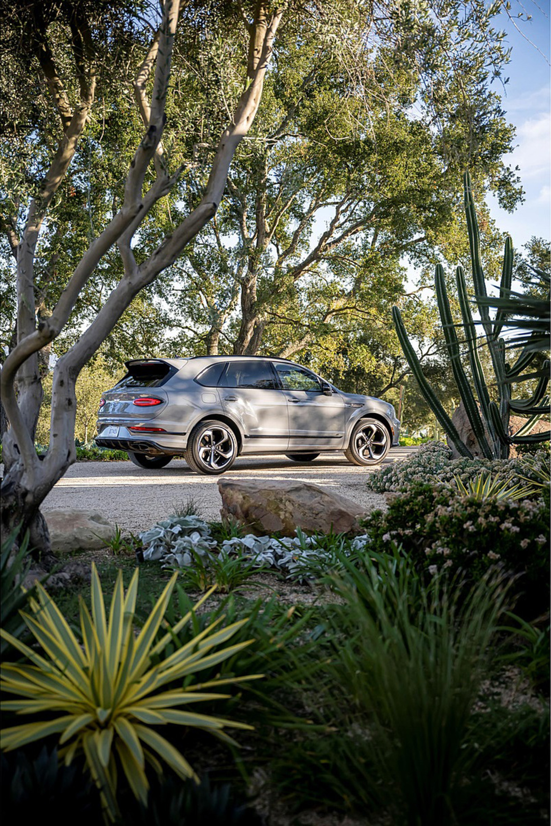 Download 2022 Bentley Bentayga S - Rear Three-Quarter HD Phone Wallpaper 1920x2876 #38