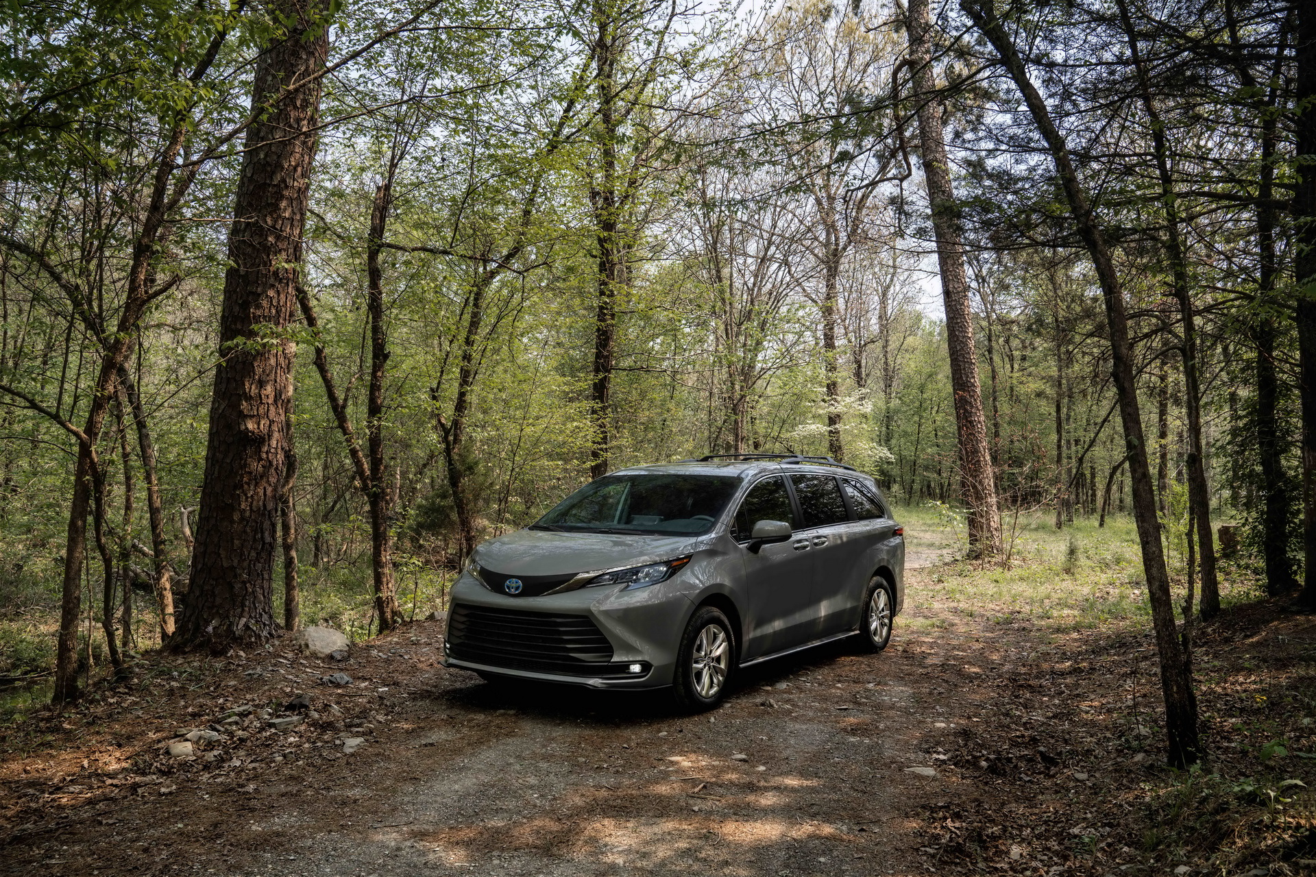 Download 2022 Toyota Sienna Woodland Special Edition - Front Three-Quarter HD Wallpaper 1920x1280 #9