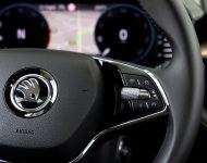 2022 Škoda Fabia - Interior, Steering Wheel Wallpaper 190x150