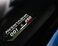 2022 Lamborghini Aventador LP 780-4 Ultimae Roadster - Badge Wallpaper 190x150