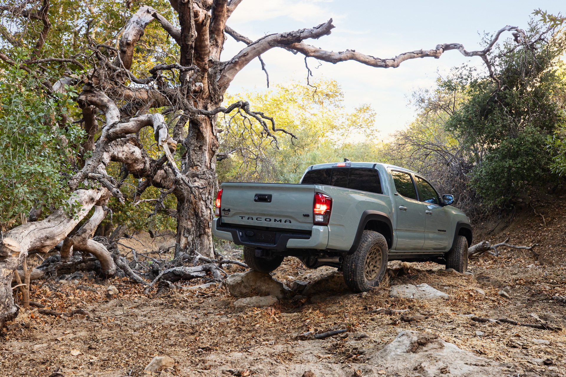 Download 2022 Toyota Tacoma Trail Edition 4×4 - Rear Three-Quarter HD Wallpaper 1920x1280 #4