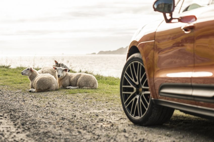 2022 Porsche Macan S - Wheel Wallpaper 850x566 #53