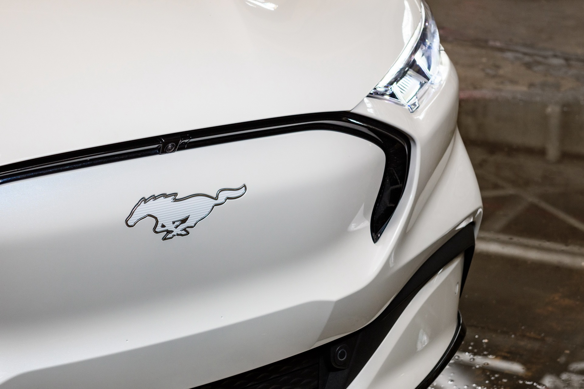 Download 2022 Ford Mustang Mach-E Ice White Appearance Package - Badge HD Wallpaper 1921x1281 #11