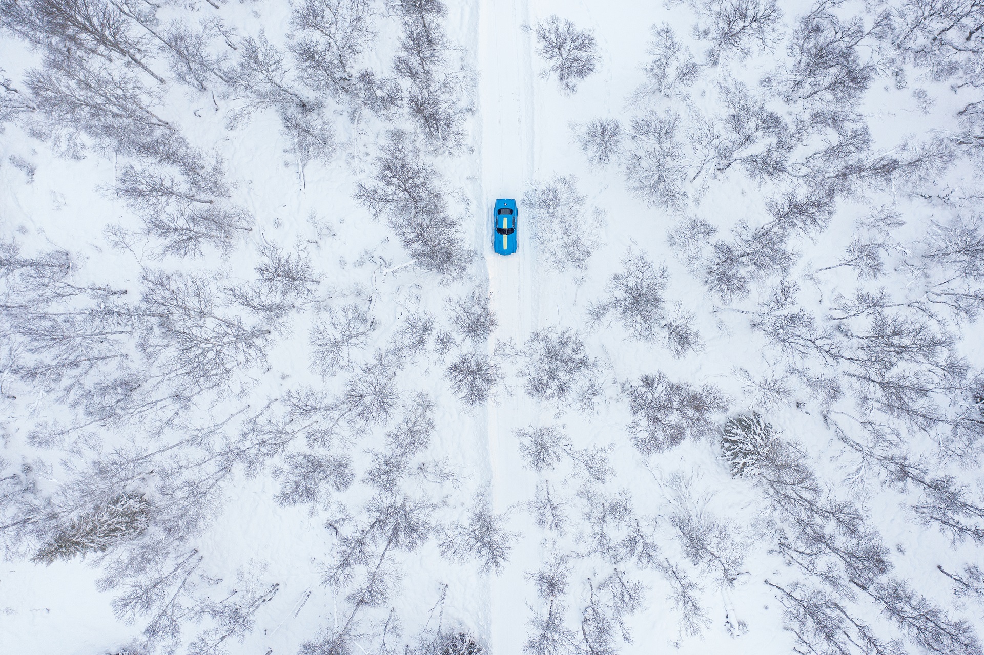 Download 2021 Volvo P1800 Cyan - Top HD Wallpaper 1920x1279 #38