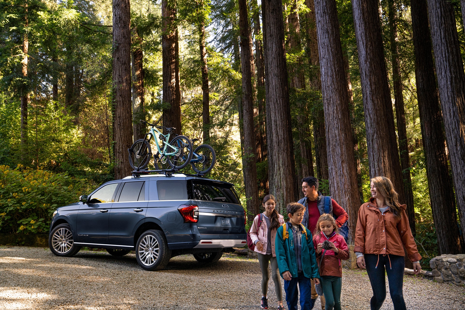 Download 2022 Ford Expedition Platinum - Rear Three-Quarter HD Wallpaper 1920x1280 #6