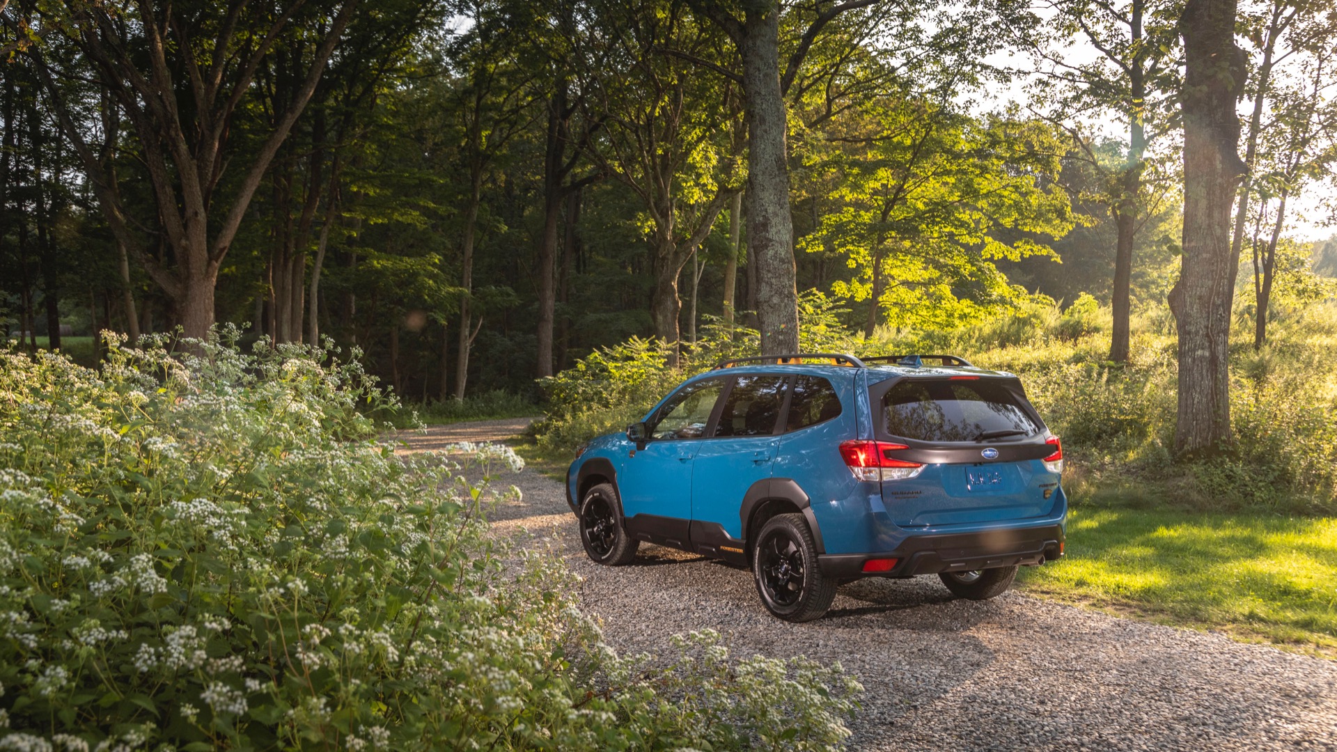 Download 2022 Subaru Forester Wilderness - Rear Three-Quarter HD Wallpaper 1920x1080 #4
