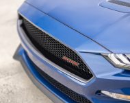 2022 Ford Mustang GT California Special - Grille Wallpaper 190x150