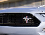 2022 Ford Mustang Coastal Limited Edition - Grille Wallpaper 190x150