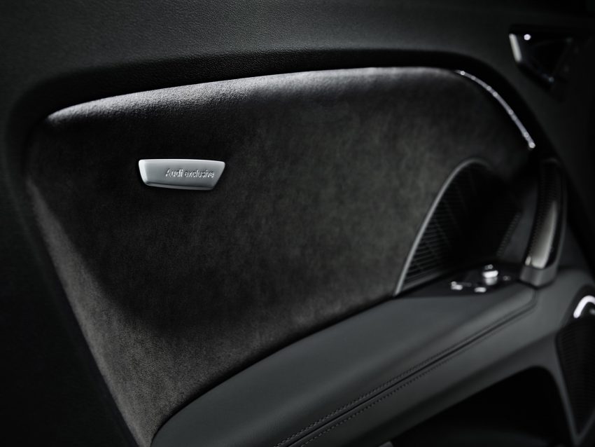 2022 Audi TT RS Heritage Edition - Interior, Detail Wallpaper 850x638 #41