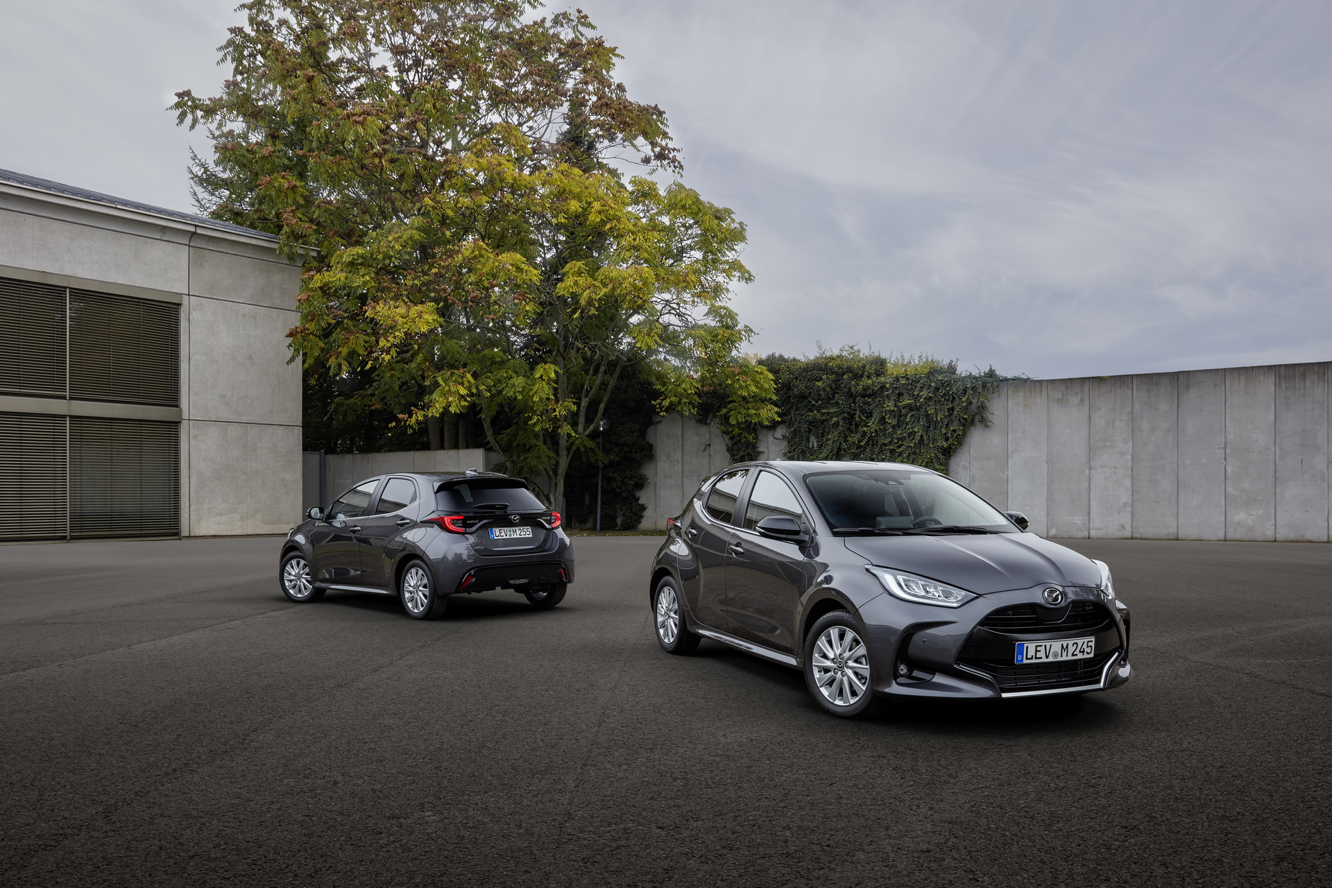 Download 2022 Mazda 2 Hybrid HD Wallpaper 1920x1280 #10