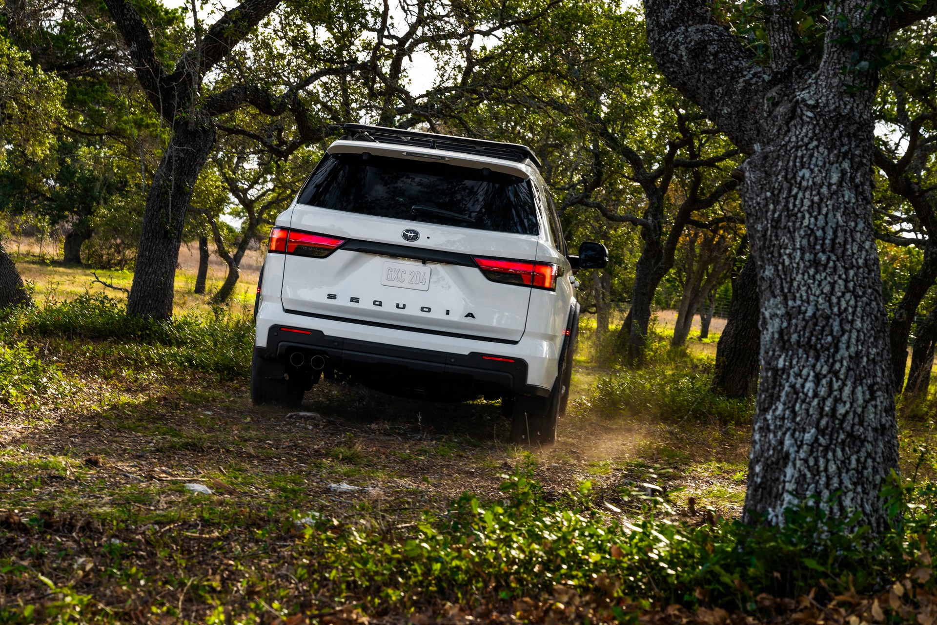 Download 2023 Toyota Sequoia TRD Pro - Rear HD Wallpaper 1920x1280 #9