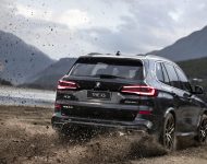 2022 BMW X5 xDrive40Li - Rear Three-Quarter Wallpaper 190x150