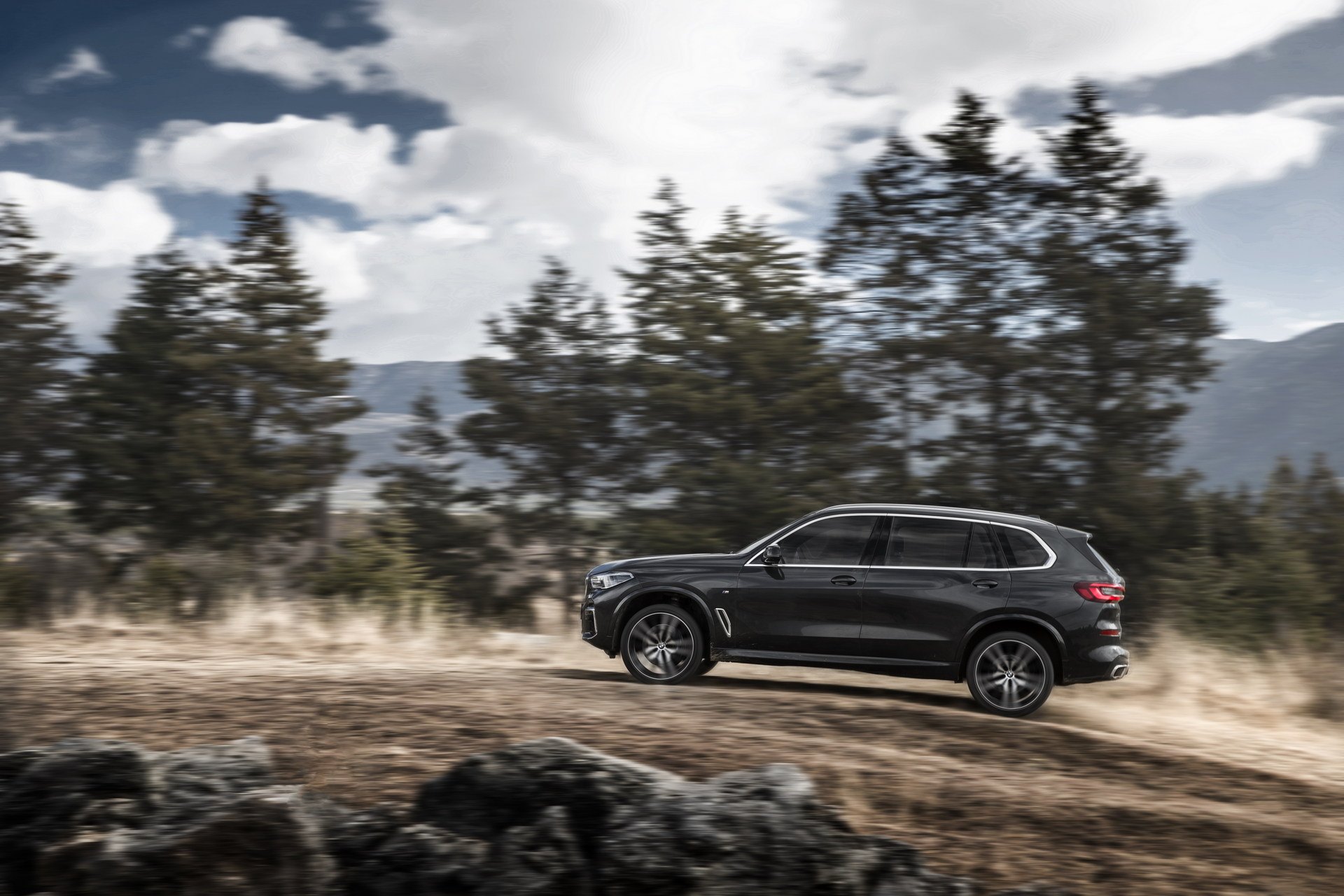 Download 2022 BMW X5 xDrive40Li - Side HD Wallpaper 1920x1280 #6