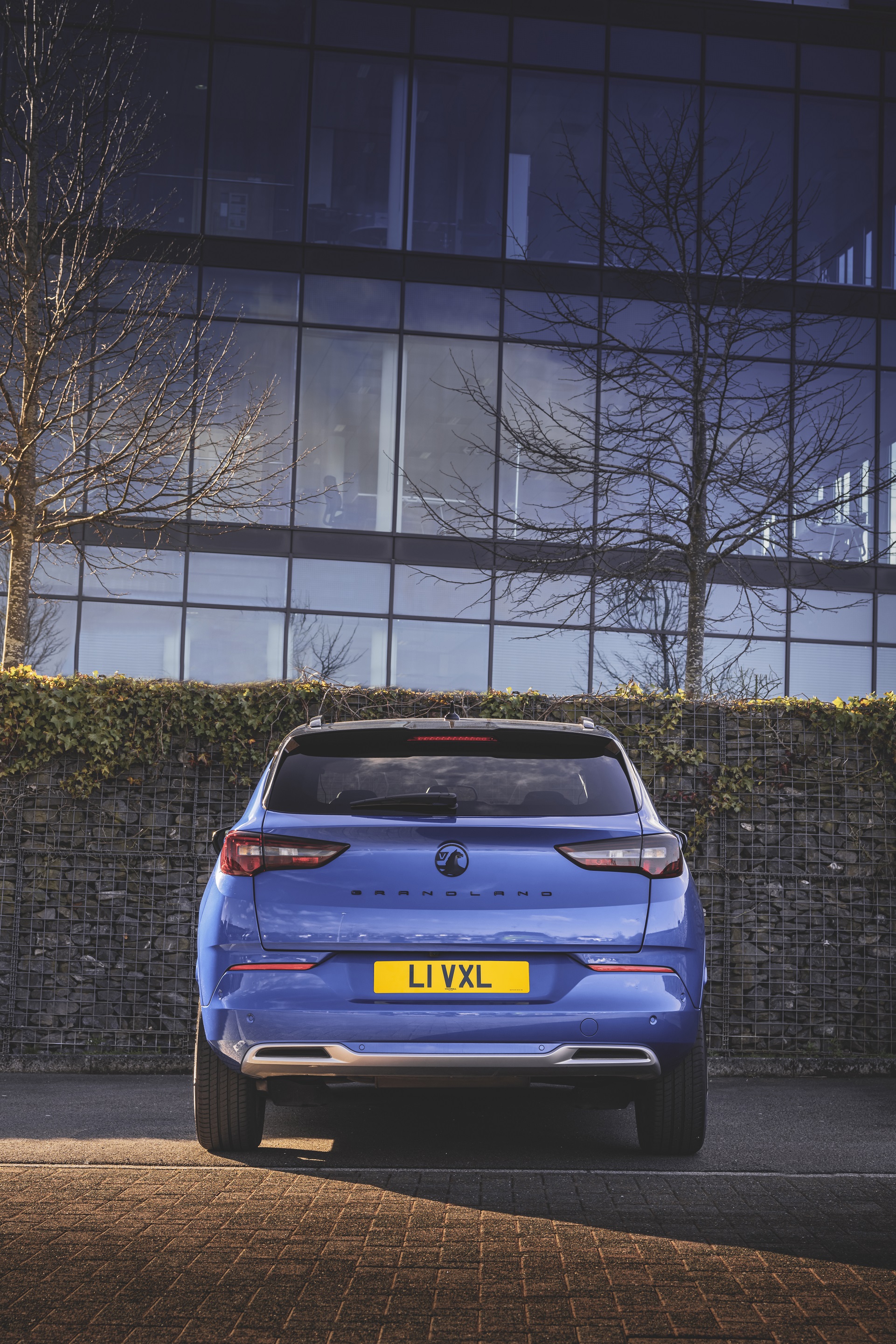 Download 2022 Vauxhall Grandland Ultimate - Rear HD Phone Wallpaper 1921x2881 #62