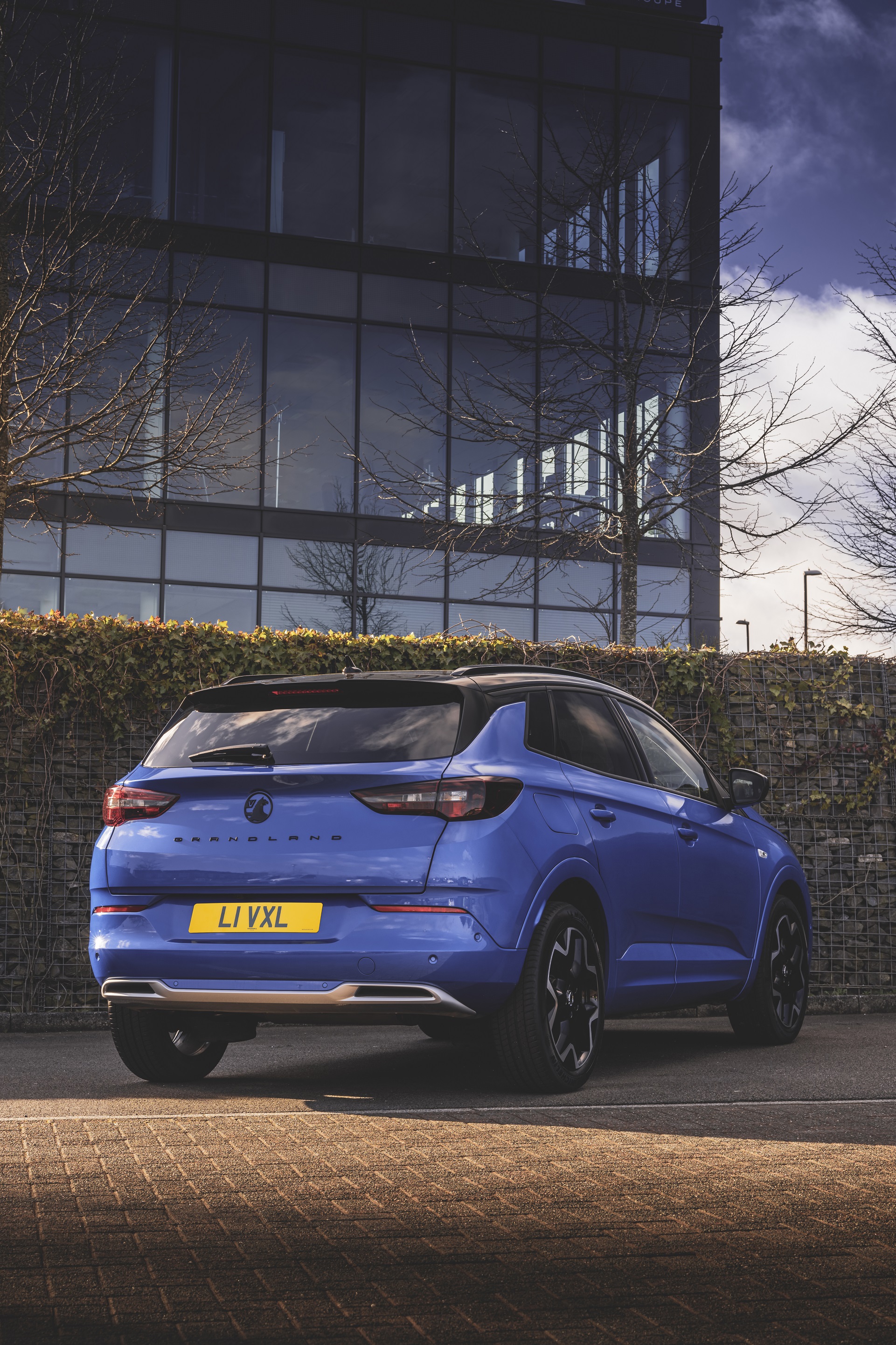 Download 2022 Vauxhall Grandland Ultimate - Rear HD Phone Wallpaper 1921x2881 #63
