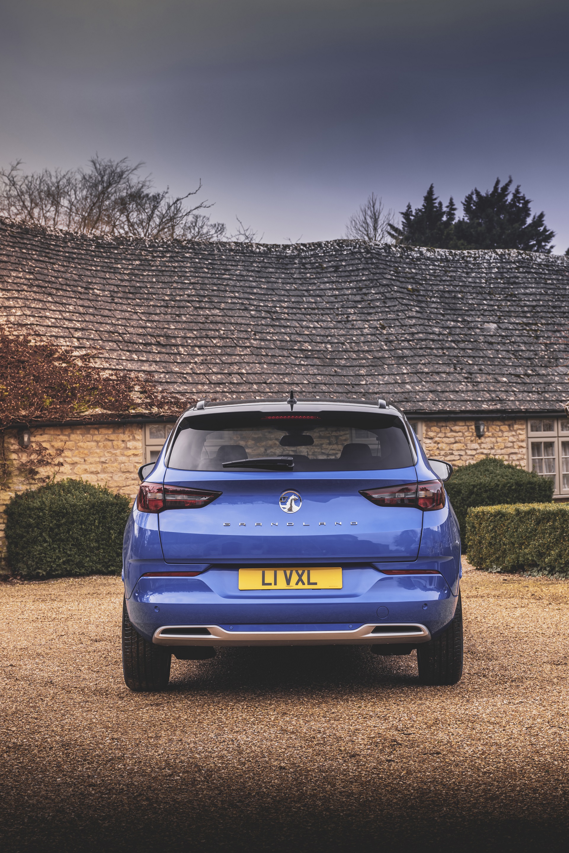 Download 2022 Vauxhall Grandland Ultimate - Rear HD Phone Wallpaper 1921x2881 #68