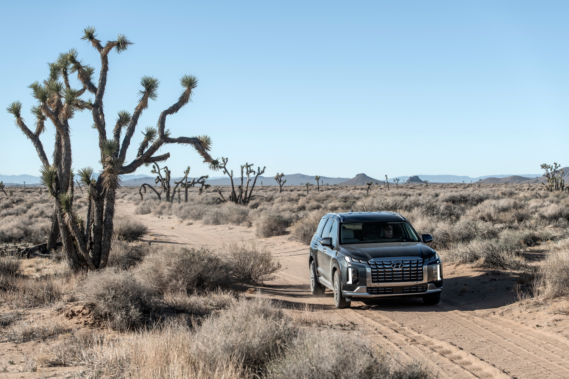 Download 2023 Hyundai Palisade - Front Three-Quarter HD Wallpaper 1921x1281 #10