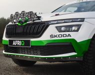 2022 Skoda Afriq Concept - Grille Wallpaper 190x150