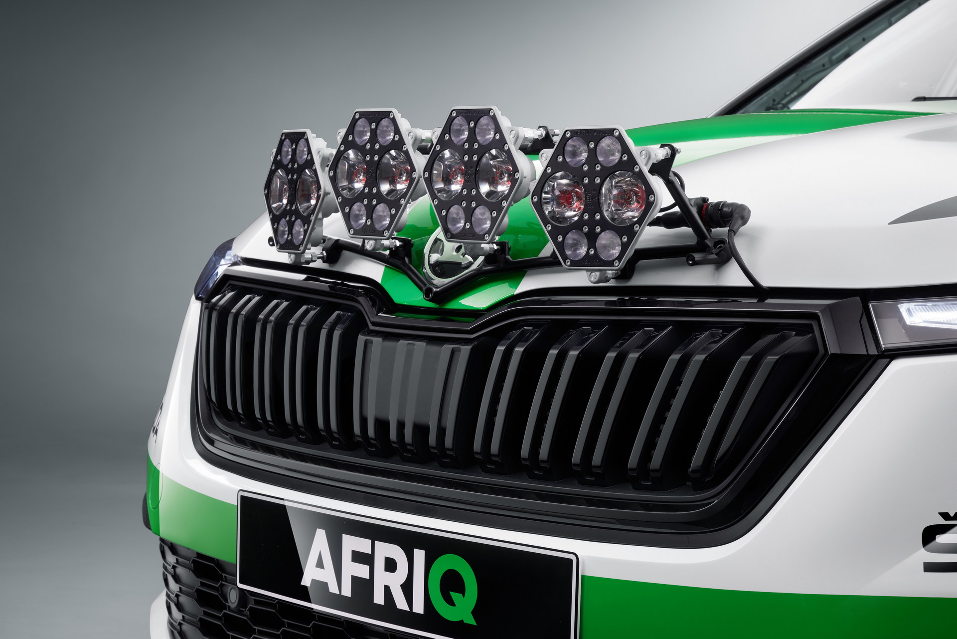 Download 2022 Skoda Afriq Concept - Grille HD Wallpaper 1920x1281 #29