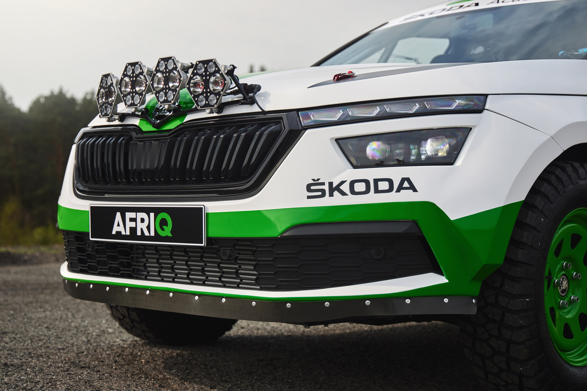 Download 2022 Skoda Afriq Concept - Grille HD Wallpaper 1920x1281 #20