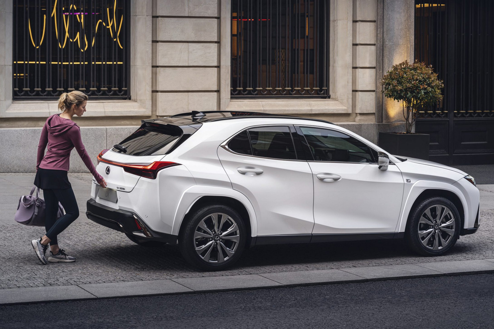 Download 2023 Lexus UX 250h F Sport - US version - Side HD Wallpaper 1920x1280 #8