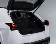 2023 Lexus UX 250h F Sport - US version - Trunk Wallpaper 190x150