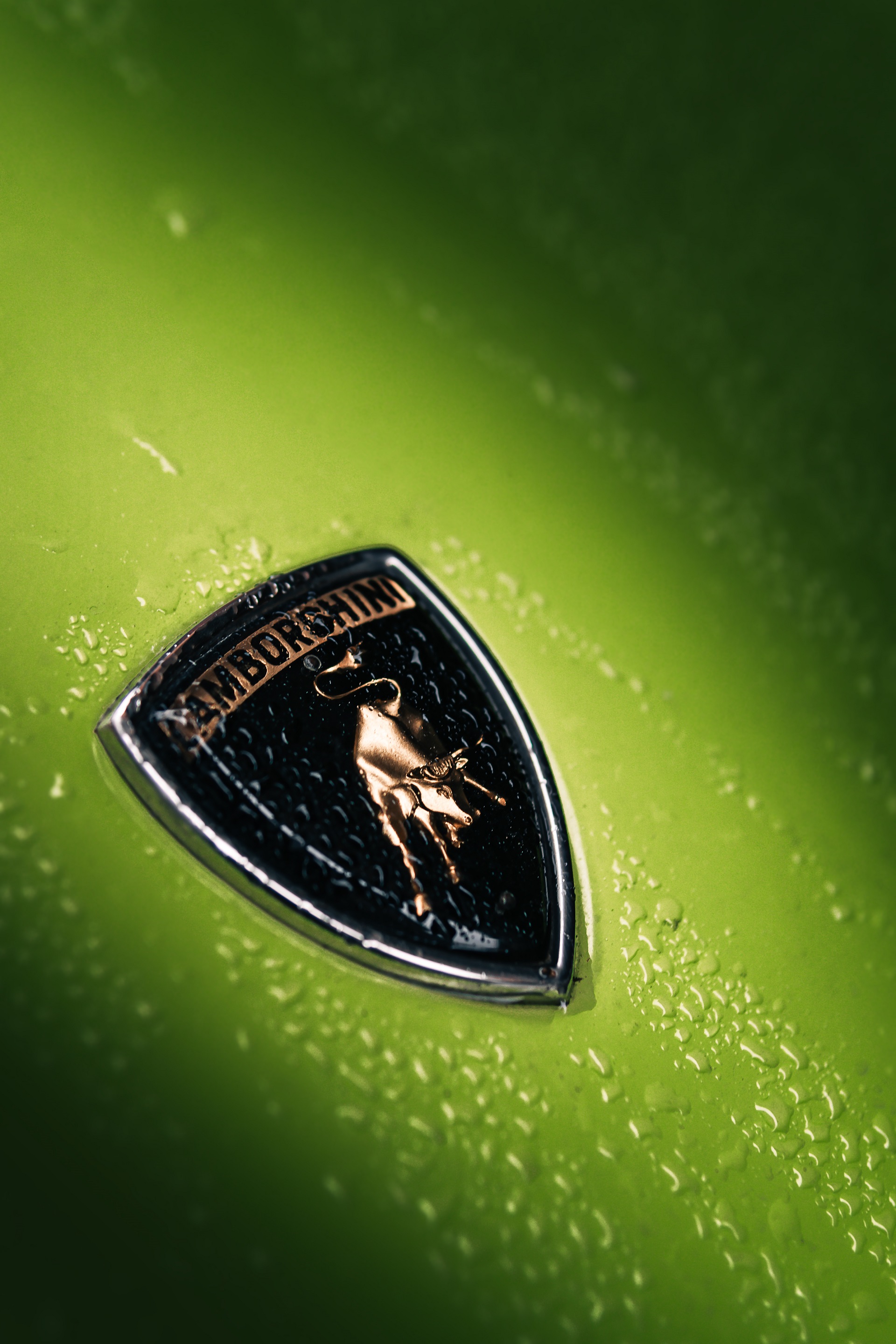 Download 1969 Lamborghini Miura P400 S - Badge HD Phone Wallpaper 1920x2880 #30