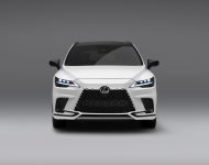 2023 Lexus RX 500h F Sport - Front Wallpaper 190x150