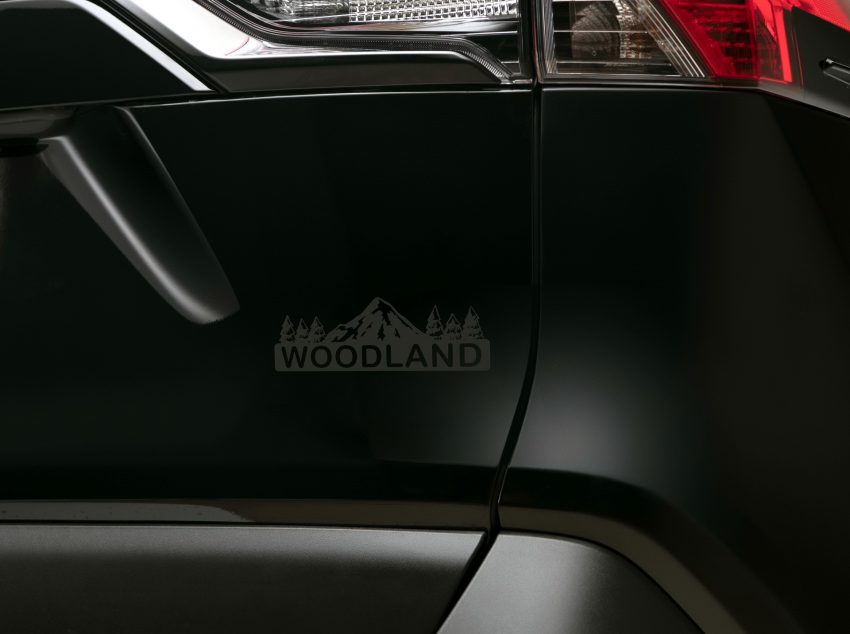 2023 Toyota RAV4 Hybrid Woodland Edition - Detail Wallpaper 850x634 #7
