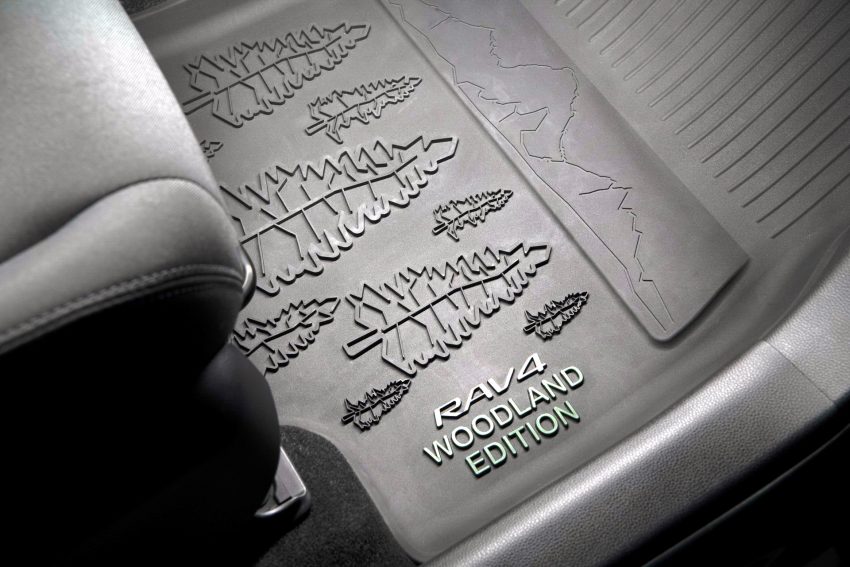 2023 Toyota RAV4 Hybrid Woodland Edition - Interior, Floor Mat Wallpaper 850x567 #9