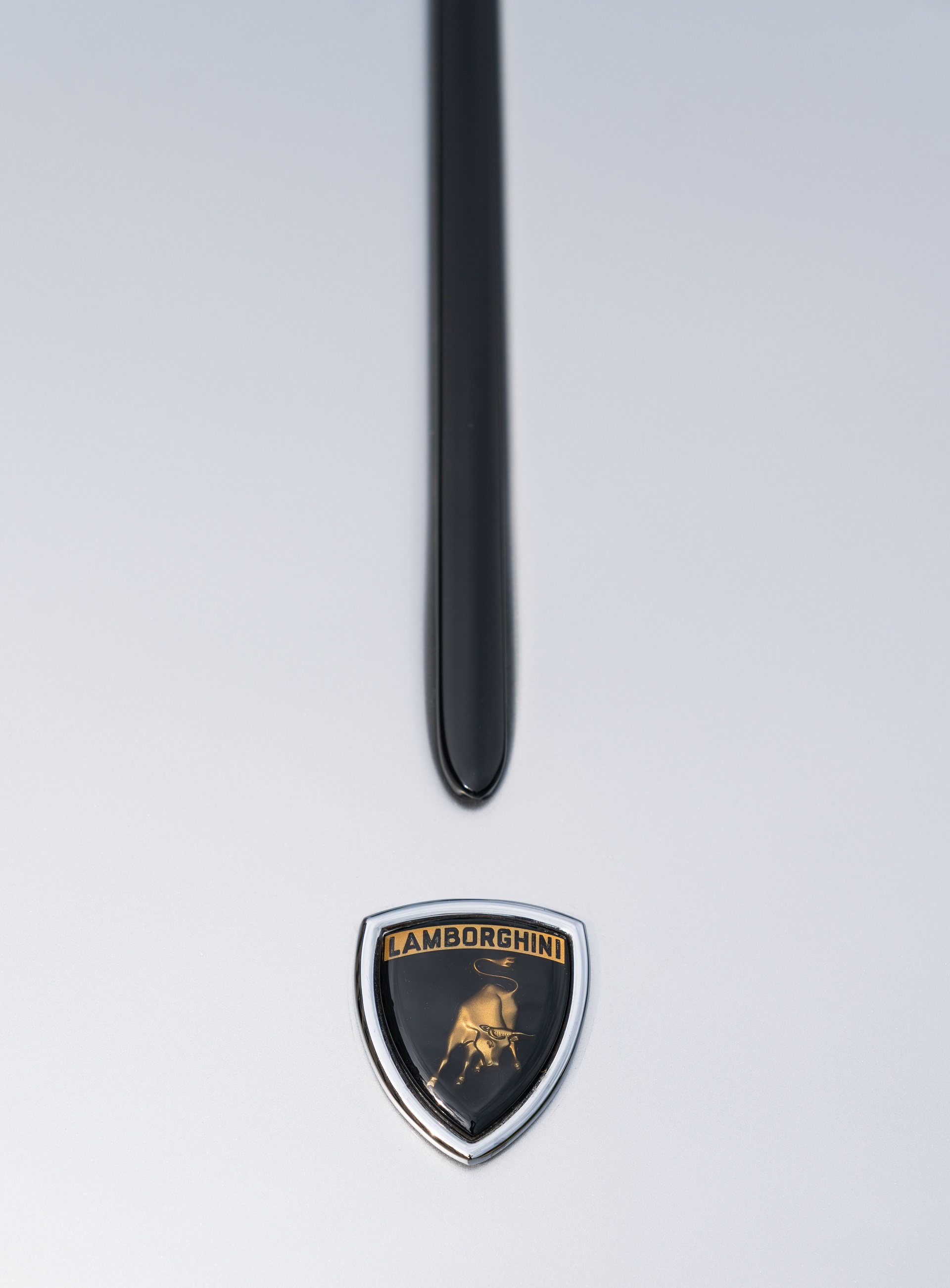 Download 1968 Lamborghini Espada 400 GT - Badge HD Phone Wallpaper 1920x2603 #72