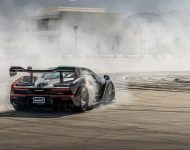 2022 McLaren Senna XP El Triunfo Absoluto - Rear Wallpaper 190x150